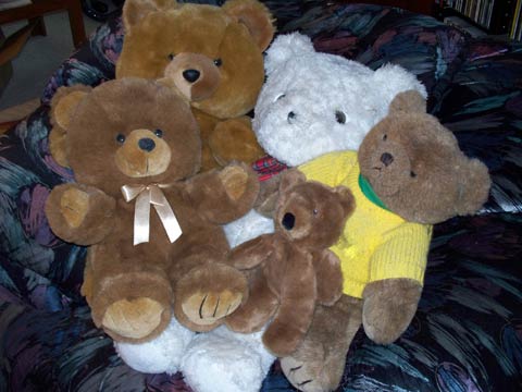Planning Committe for the Teddy Bears' Picnic