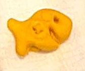 The magic goldfish cracker